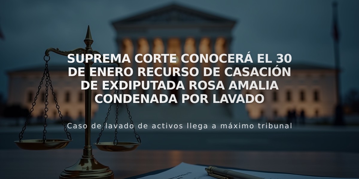 Suprema Corte conocerá el 30 de enero recurso de casación de exdiputada Rosa Amalia condenada por lavado