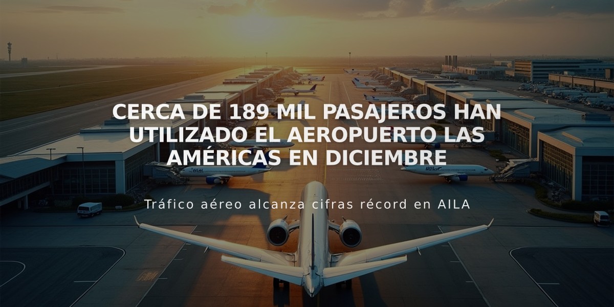 Cerca de 189 mil pasajeros han utilizado el aeropuerto Las Américas en diciembre