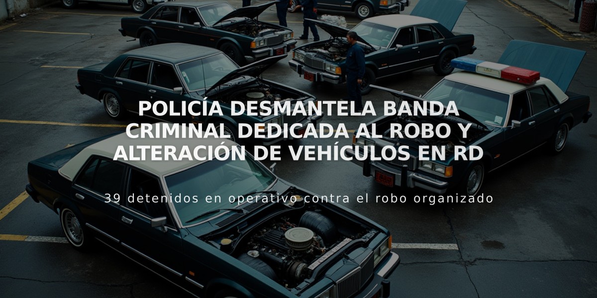 Policía desmantela banda criminal dedicada al robo y alteración de vehículos en RD