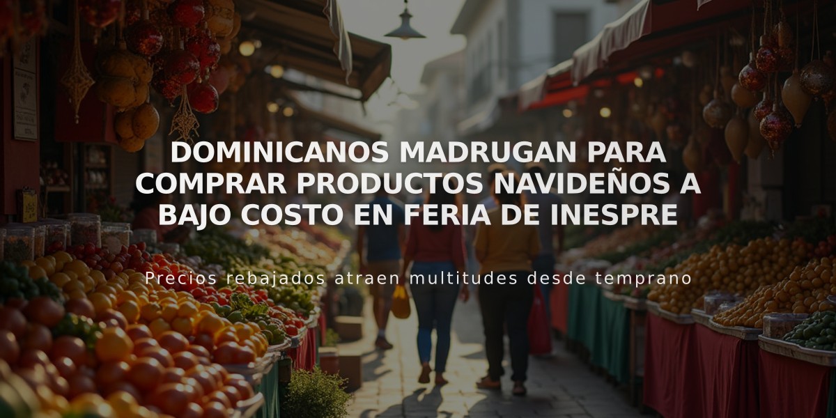 Dominicanos madrugan para comprar productos navideños a bajo costo en Feria de Inespre