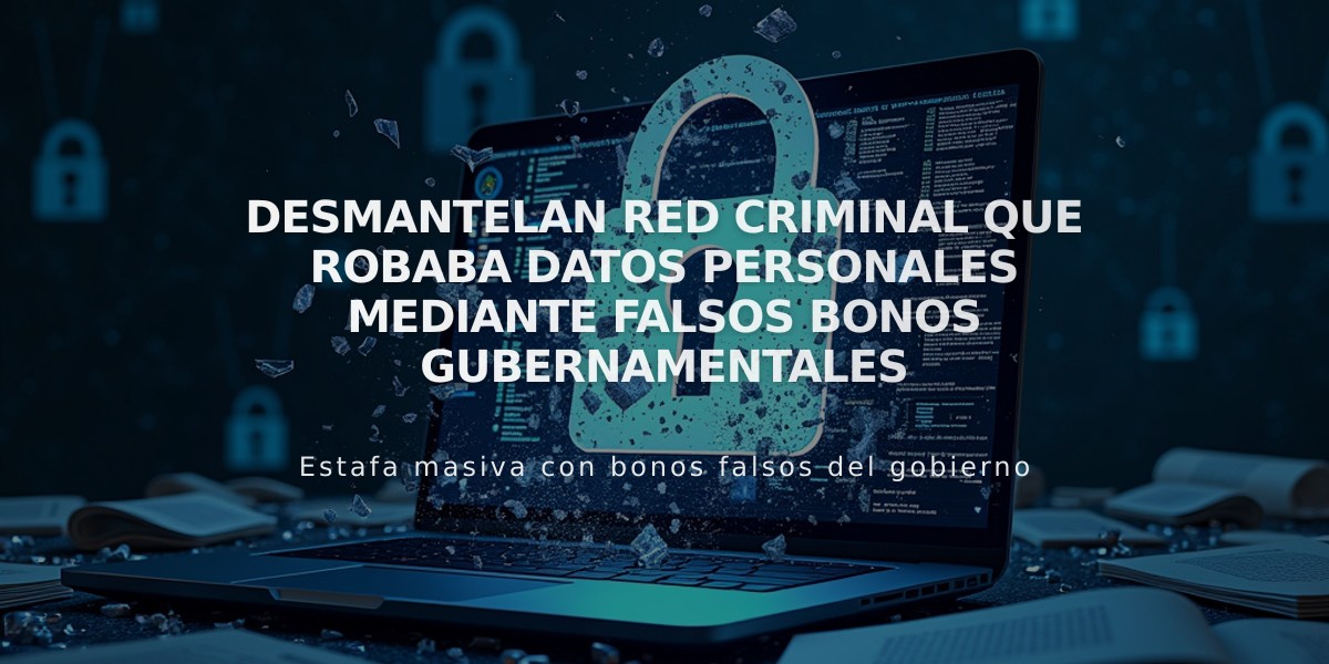 Desmantelan red criminal que robaba datos personales mediante falsos bonos gubernamentales