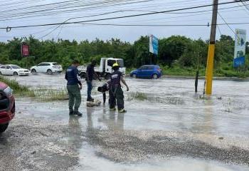 Bomberos rescatan perro durante inundación