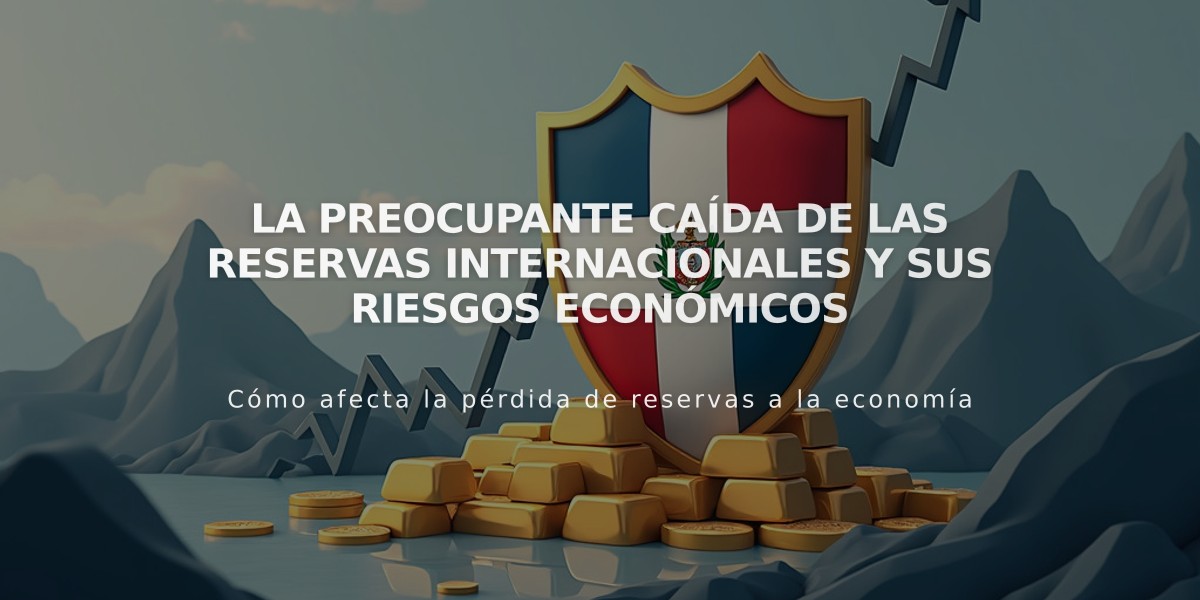 La preocupante caída de las reservas internacionales y sus riesgos económicos