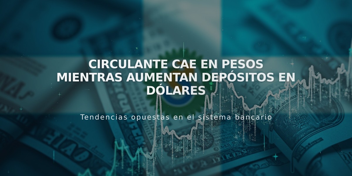 Circulante cae en pesos mientras aumentan depósitos en dólares