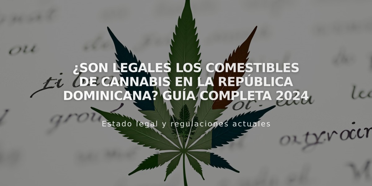 ¿Son legales los comestibles de cannabis en la República Dominicana? Guía completa 2024