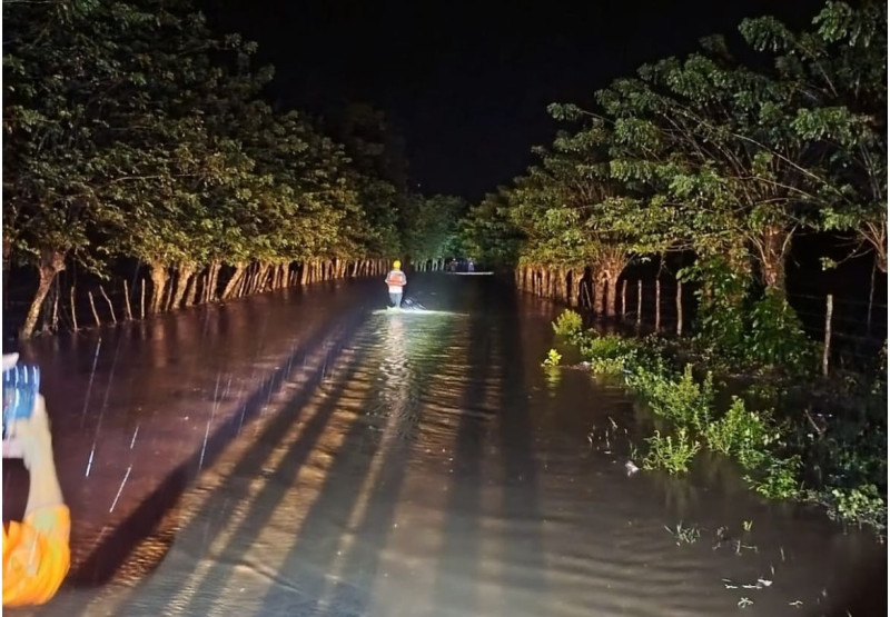 Inundación en carretera con árboles