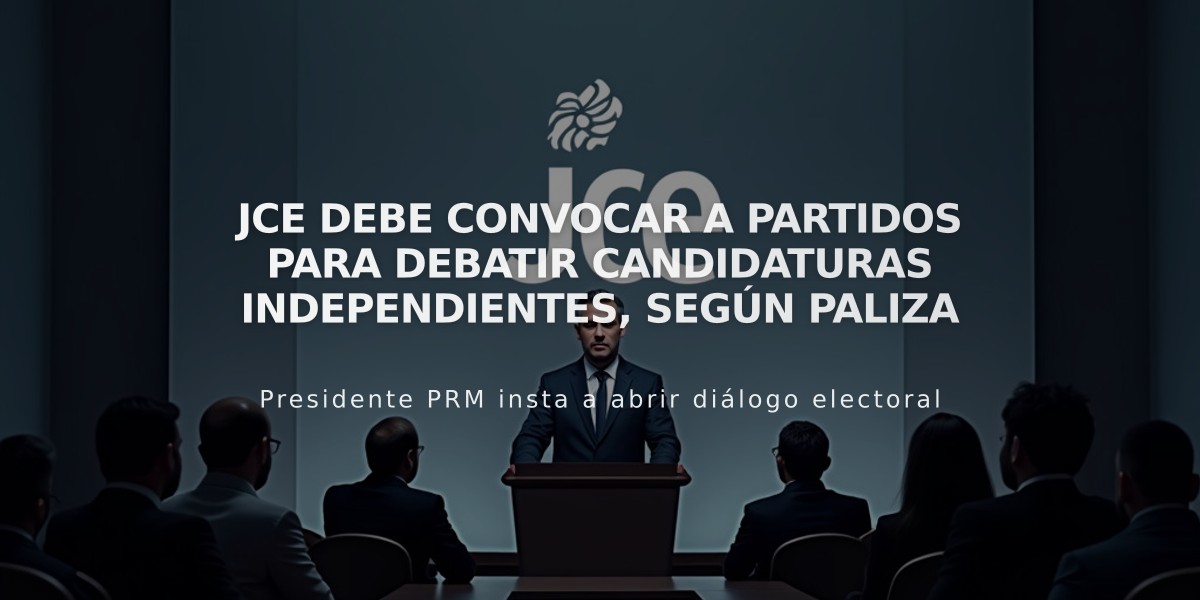 JCE debe convocar a partidos para debatir candidaturas independientes, según Paliza