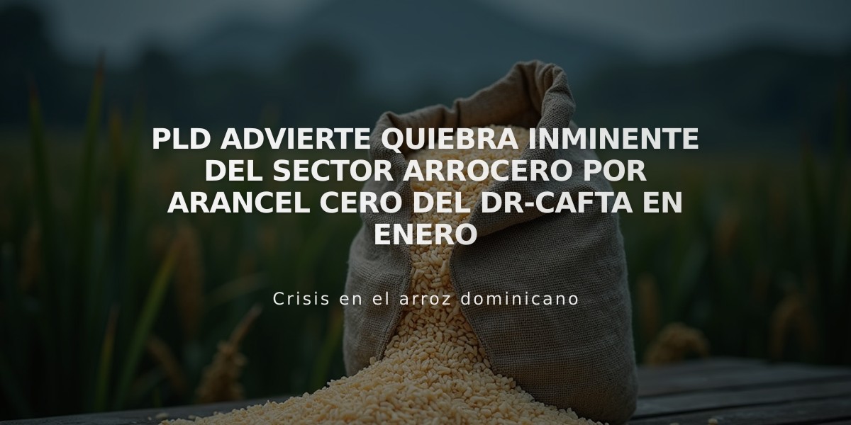 PLD advierte quiebra inminente del sector arrocero por arancel cero del DR-CAFTA en enero