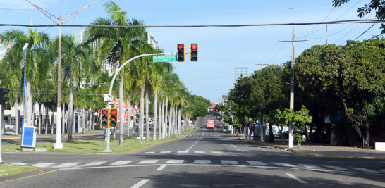 Calle con palmeras y semáforos