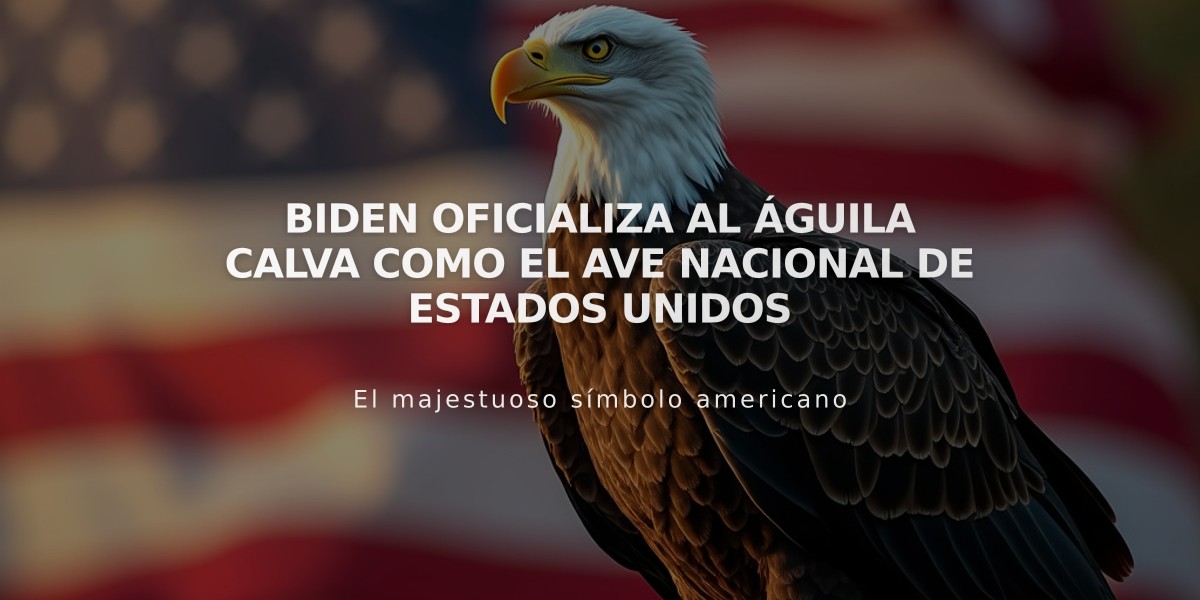 Biden oficializa al águila calva como el ave nacional de Estados Unidos