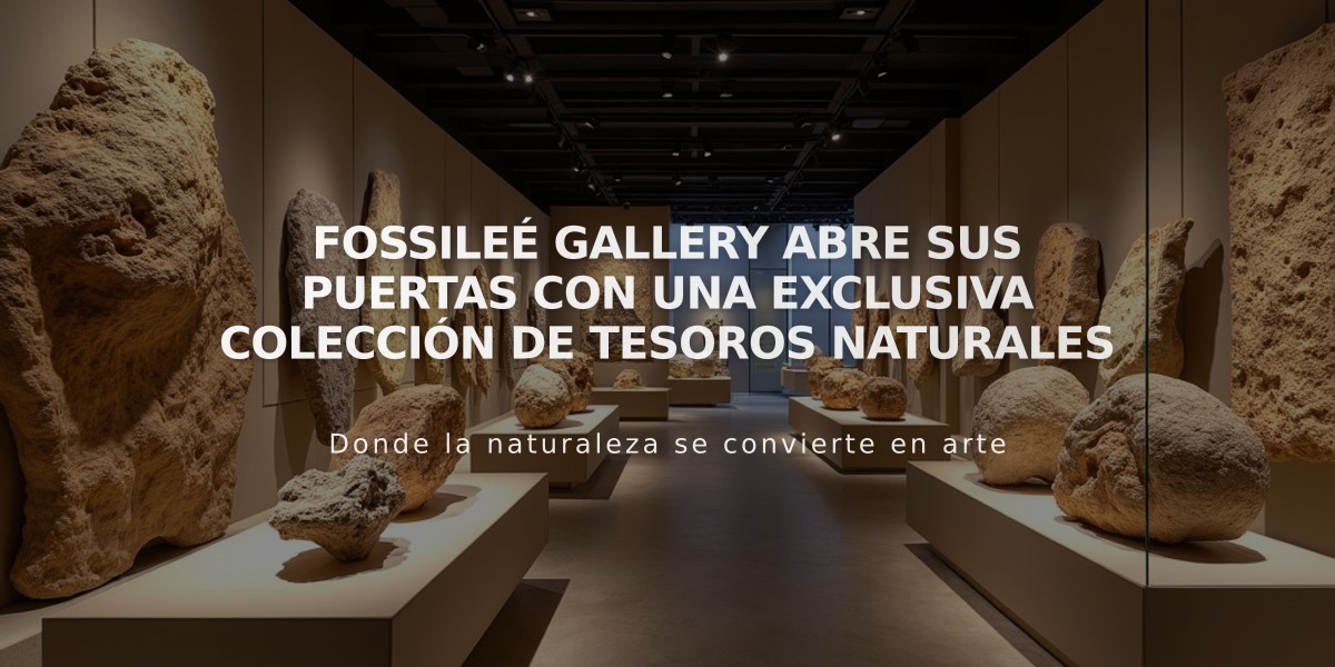 Fossileé Gallery abre sus puertas con una exclusiva colección de tesoros naturales