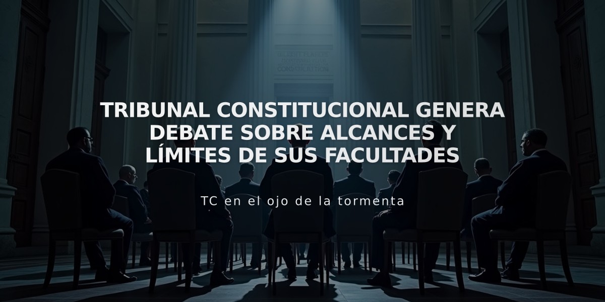 Tribunal Constitucional genera debate sobre alcances y límites de sus facultades