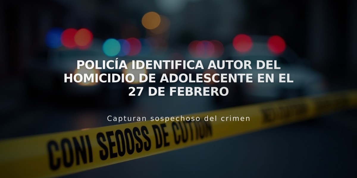 Policía identifica autor del homicidio de adolescente en el 27 de Febrero