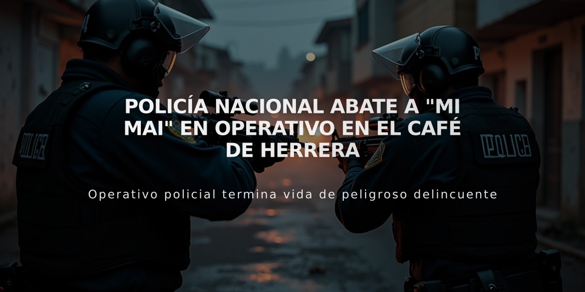 Policía Nacional abate a "Mi Mai" en operativo en El Café de Herrera