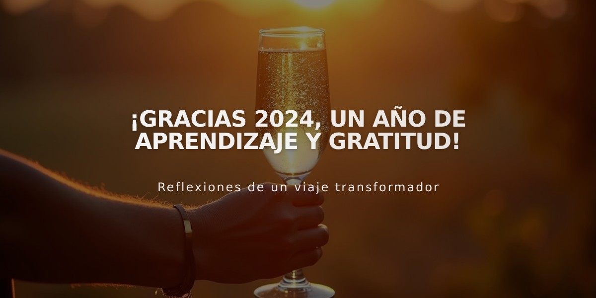 ¡Gracias 2024, un año de aprendizaje y gratitud!