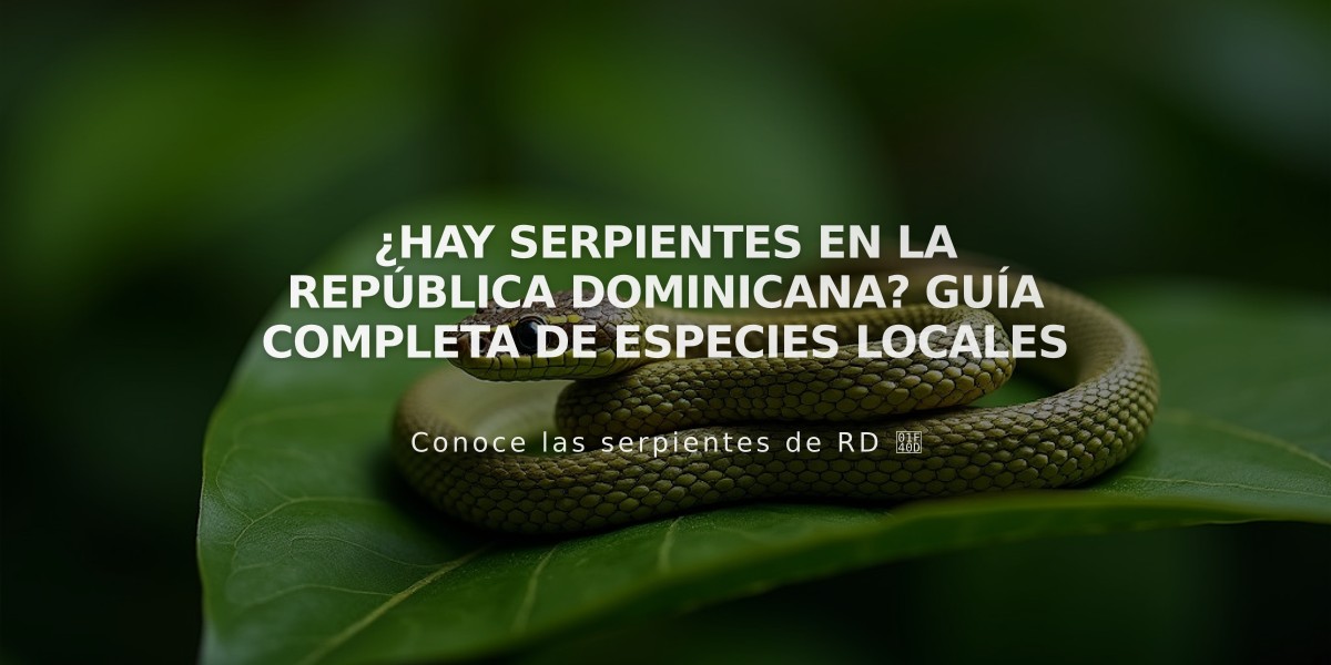 ¿Hay serpientes en la República Dominicana? Guía completa de especies locales