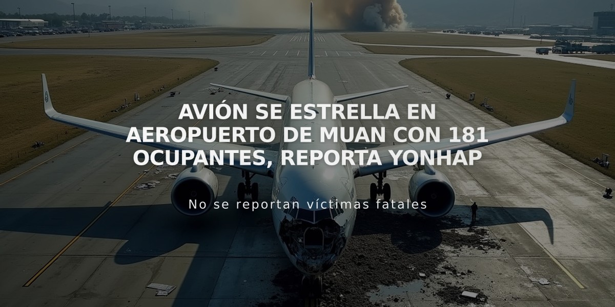 Avión se estrella en aeropuerto de Muan con 181 ocupantes, reporta Yonhap