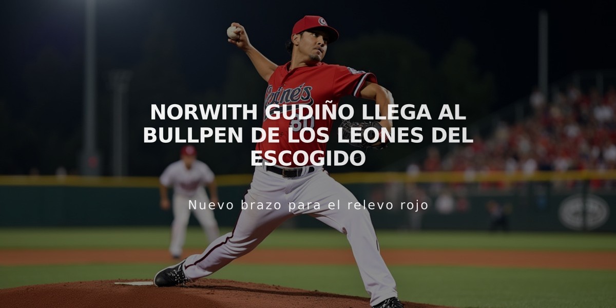 Norwith Gudiño llega al bullpen de los Leones del Escogido