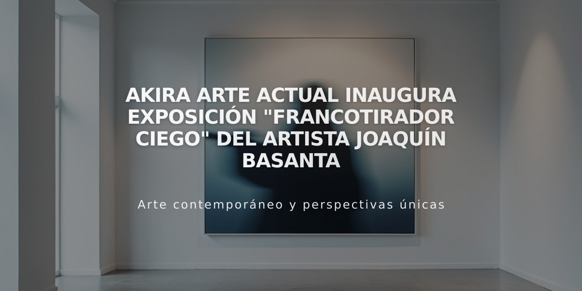 Akira Arte Actual inaugura exposición "Francotirador ciego" del artista Joaquín Basanta