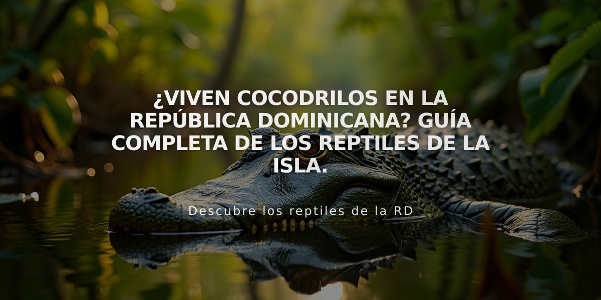 ¿Viven cocodrilos en la República Dominicana? Guía completa de los reptiles de la isla.