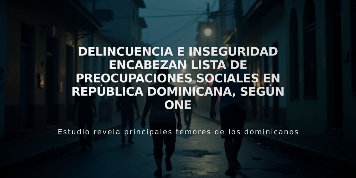 Delincuencia e inseguridad encabezan lista de preocupaciones sociales en República Dominicana, según ONE