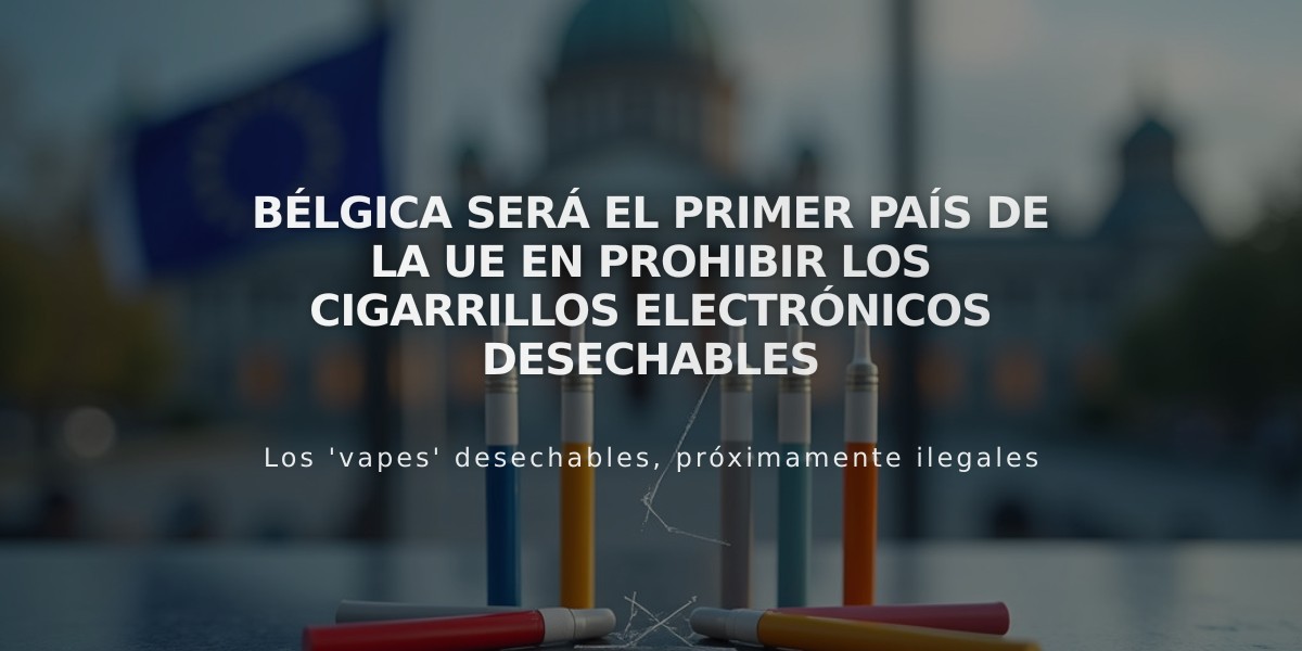 Bélgica será el primer país de la UE en prohibir los cigarrillos electrónicos desechables