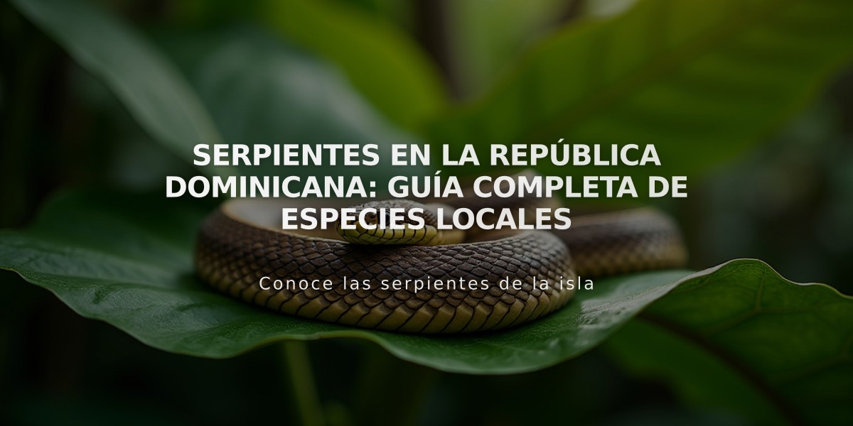 Serpientes en la República Dominicana: Guía completa de especies locales