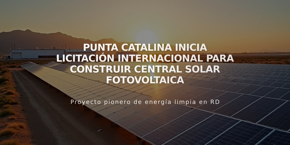 Punta Catalina inicia licitación internacional para construir central solar fotovoltaica