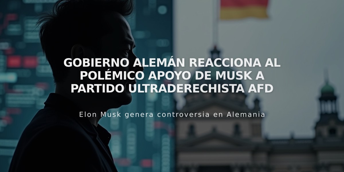 Gobierno alemán reacciona al polémico apoyo de Musk a partido ultraderechista AfD