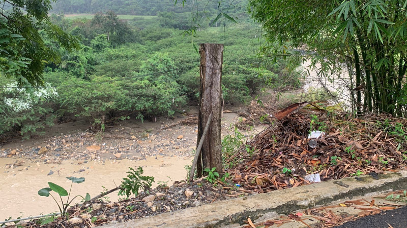 Montón de basura y hojas secas