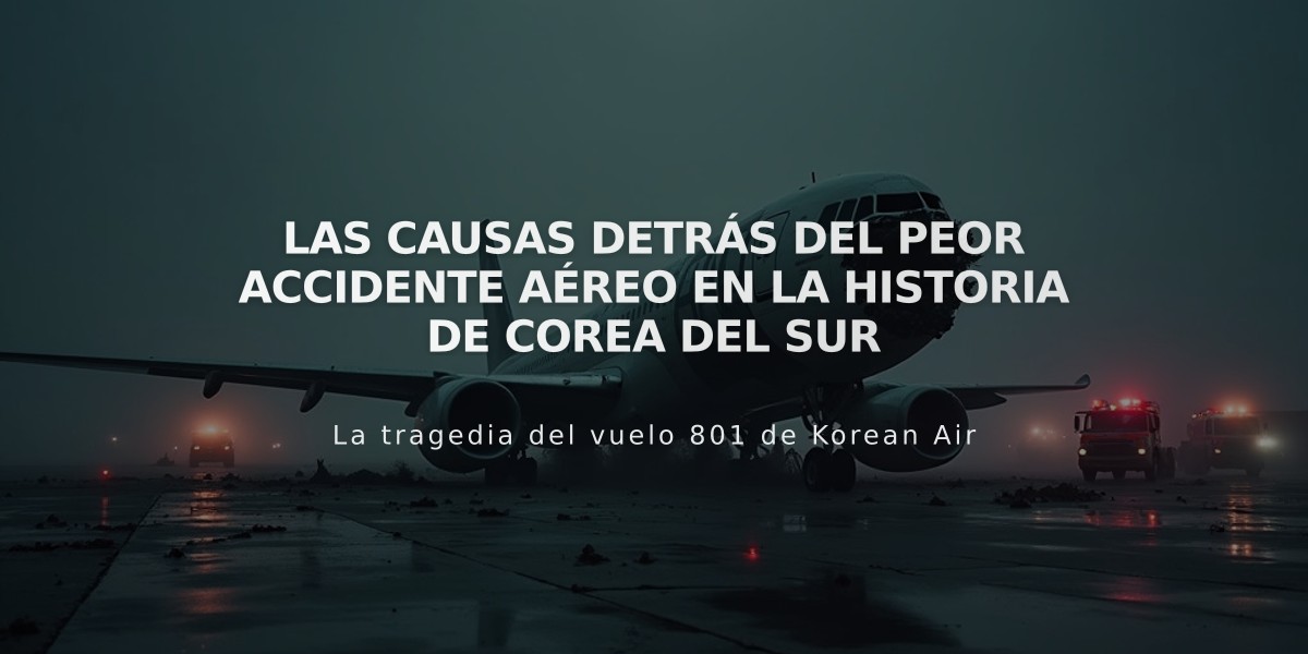 Las causas detrás del peor accidente aéreo en la historia de Corea del Sur