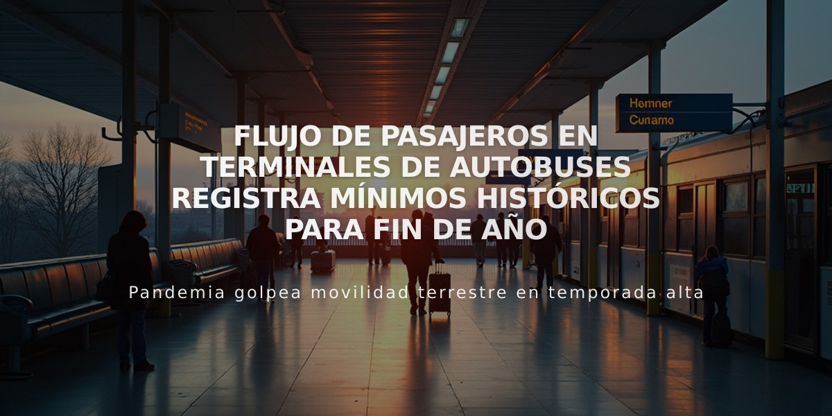 Flujo de pasajeros en terminales de autobuses registra mínimos históricos para fin de año