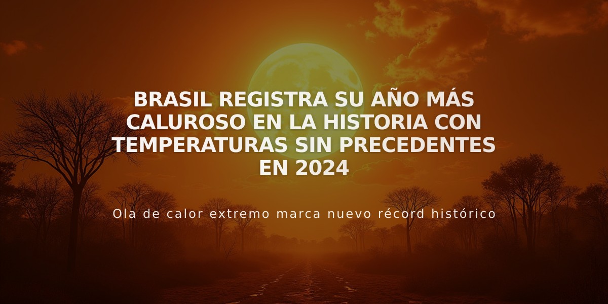 Brasil registra su año más caluroso en la historia con temperaturas sin precedentes en 2024