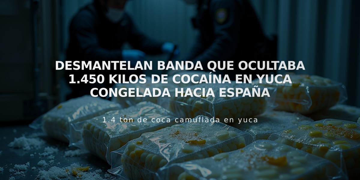 Desmantelan banda que ocultaba 1.450 kilos de cocaína en yuca congelada hacia España