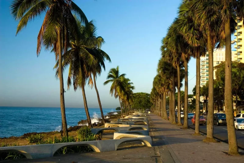 Calle con palmeras junto al malecón