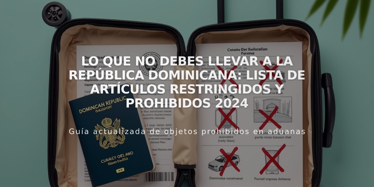 Lo que no debes llevar a la República Dominicana: Lista de artículos restringidos y prohibidos 2024