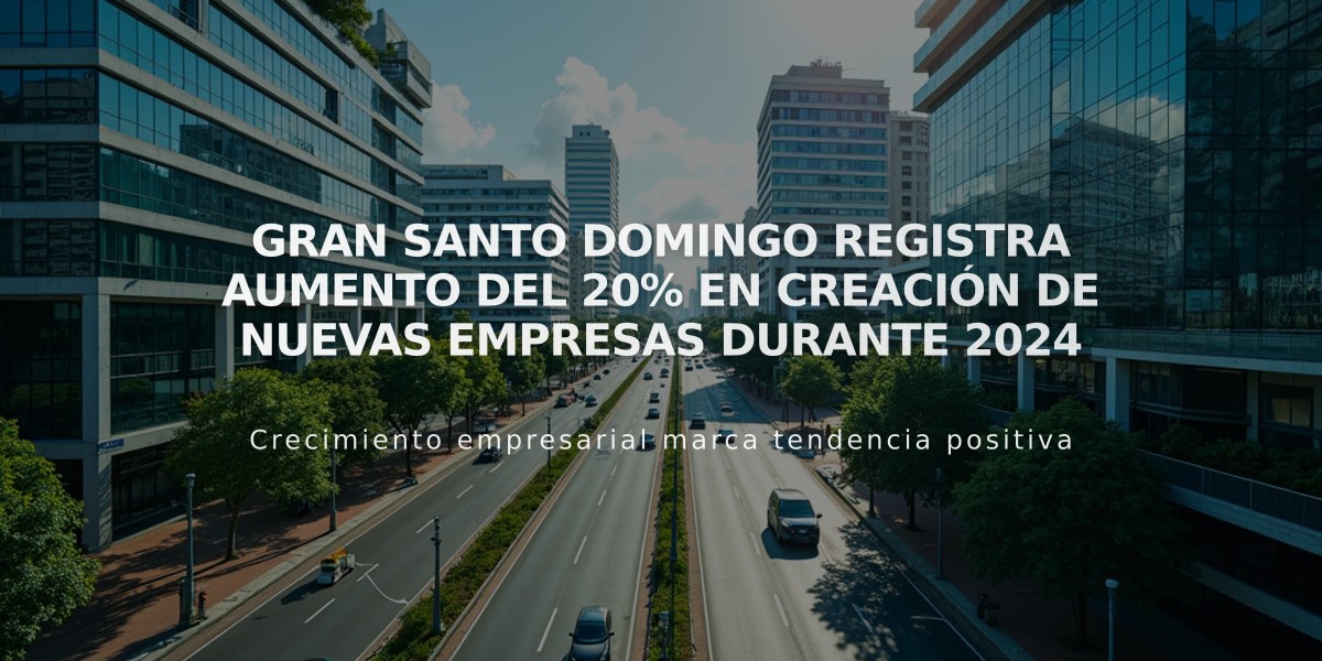 Gran Santo Domingo registra aumento del 20% en creación de nuevas empresas durante 2024