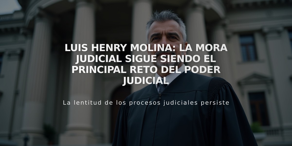 Luis Henry Molina: La mora judicial sigue siendo el principal reto del Poder Judicial