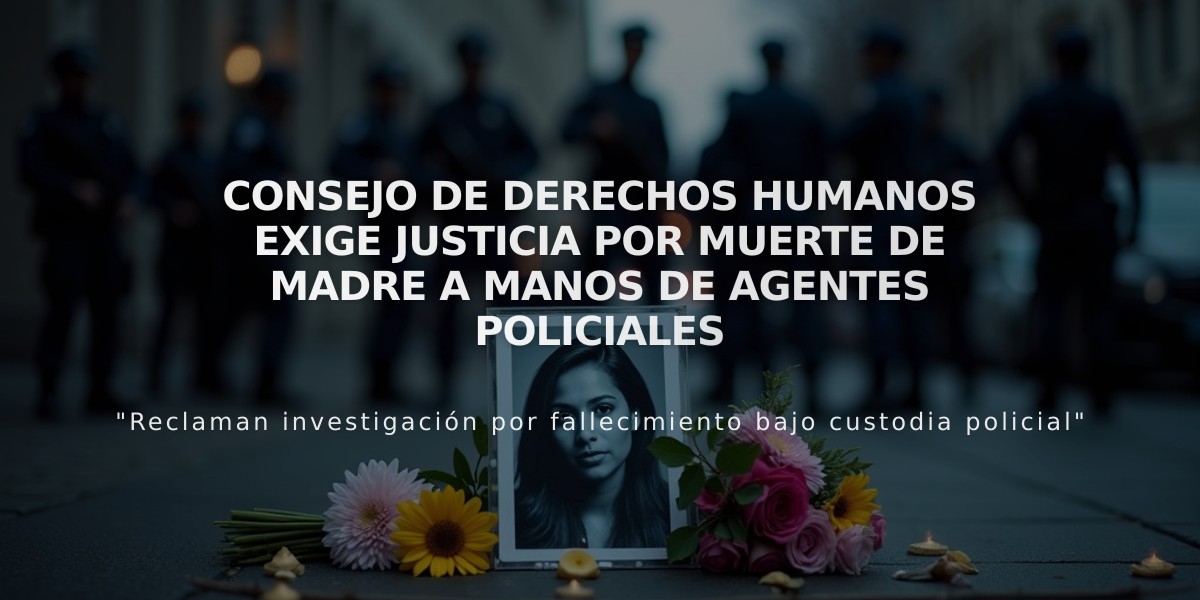 Consejo de Derechos Humanos exige justicia por muerte de madre a manos de agentes policiales