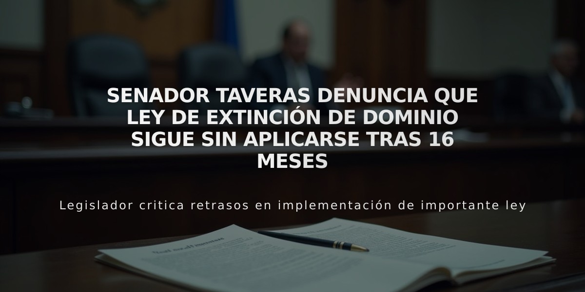 Senador Taveras denuncia que Ley de Extinción de Dominio sigue sin aplicarse tras 16 meses