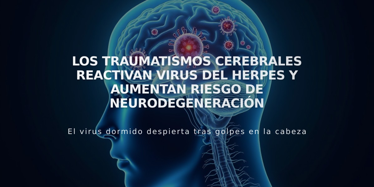 Los traumatismos cerebrales reactivan virus del herpes y aumentan riesgo de neurodegeneración