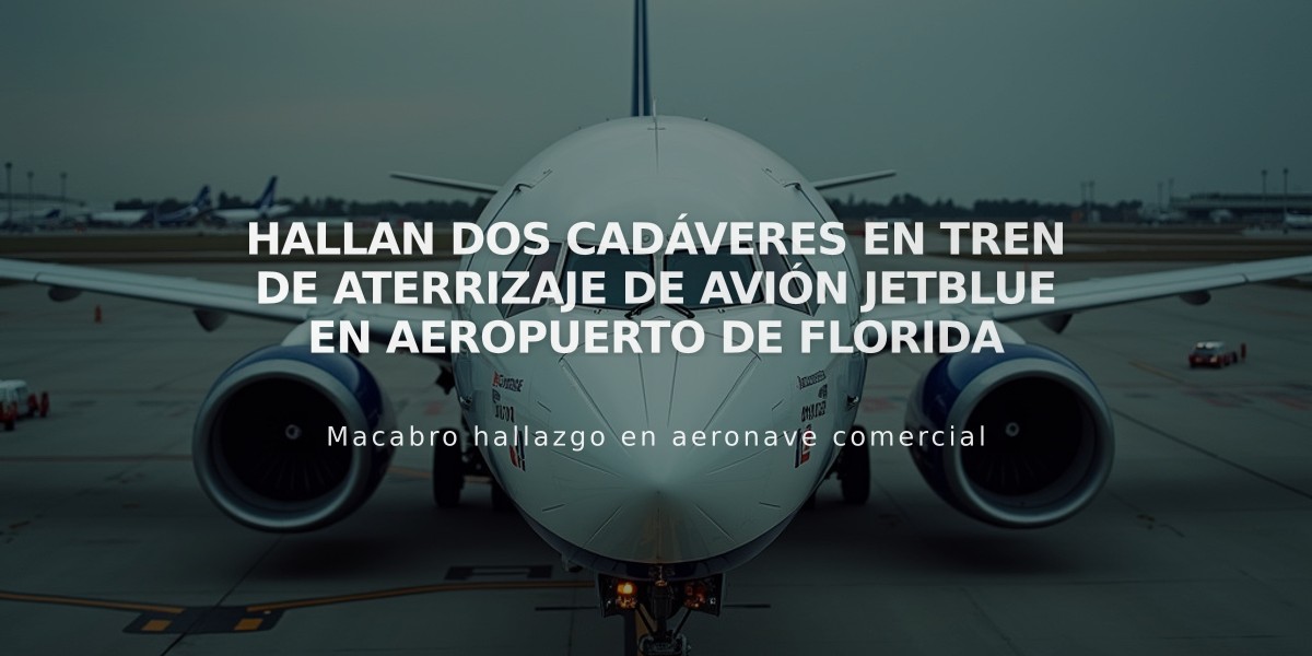 Hallan dos cadáveres en tren de aterrizaje de avión JetBlue en aeropuerto de Florida