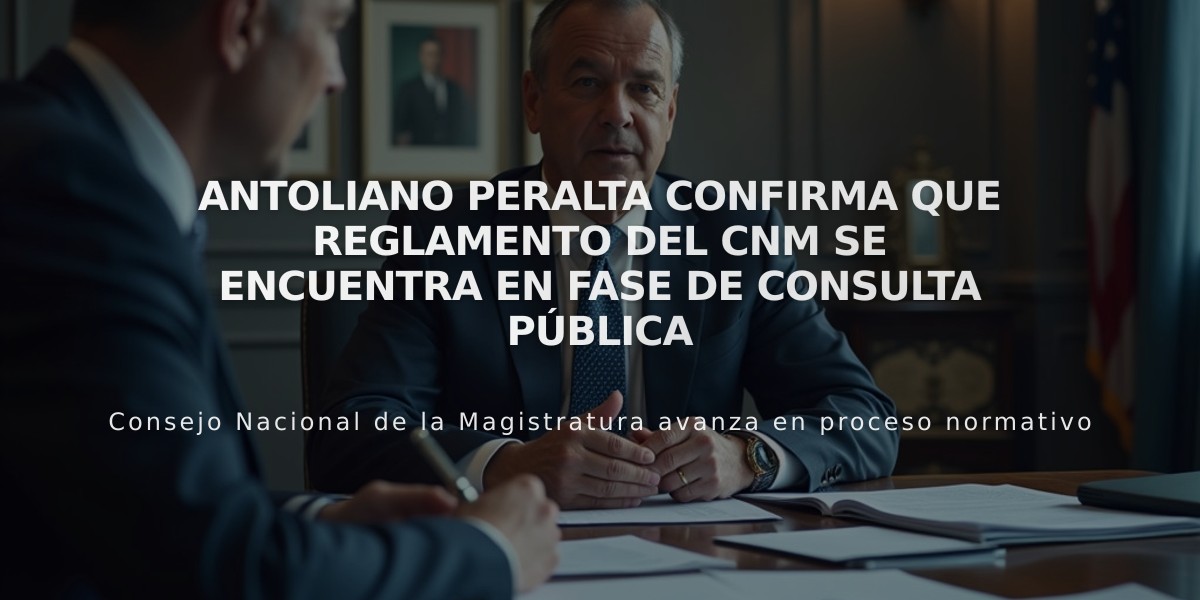 Antoliano Peralta confirma que reglamento del CNM se encuentra en fase de consulta pública