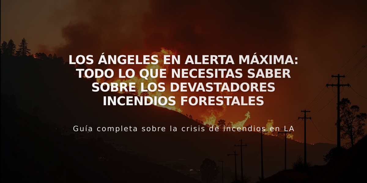 Los Ángeles en alerta máxima: Todo lo que necesitas saber sobre los devastadores incendios forestales