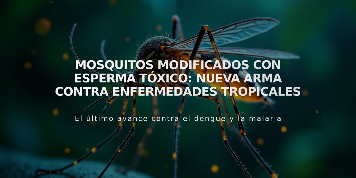 Mosquitos modificados con esperma tóxico: nueva arma contra enfermedades tropicales