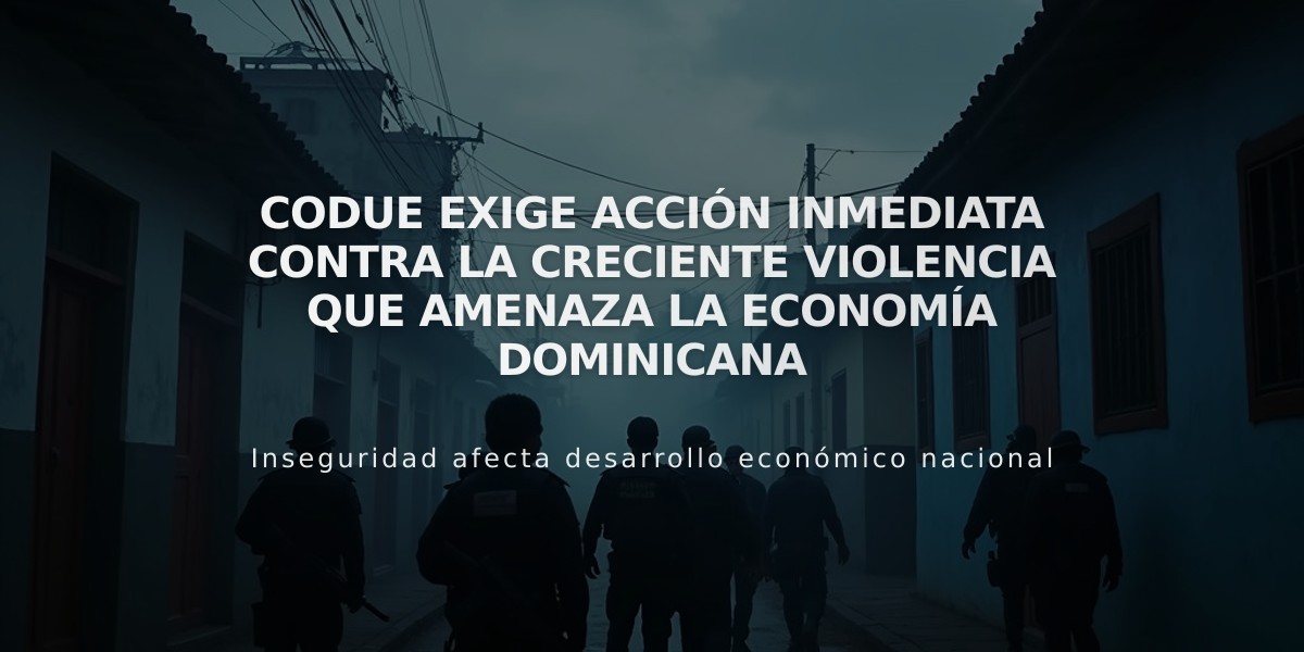 Codue exige acción inmediata contra la creciente violencia que amenaza la economía dominicana