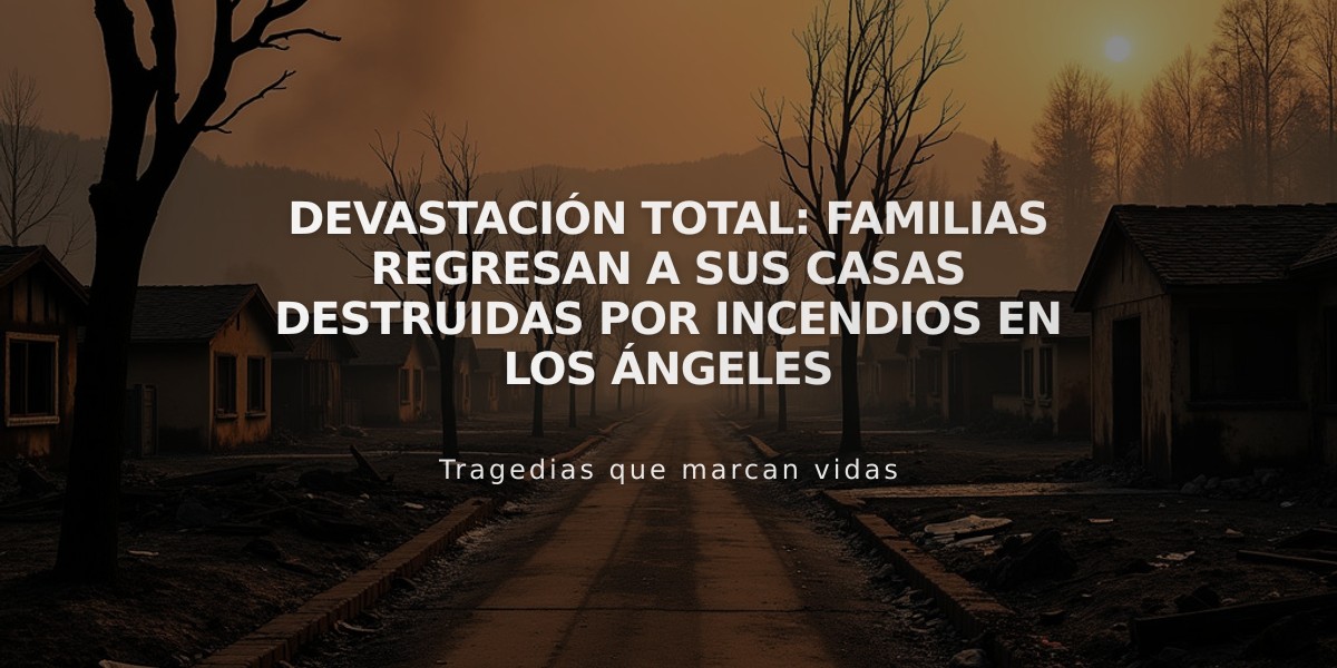 Devastación total: Familias regresan a sus casas destruidas por incendios en Los Ángeles