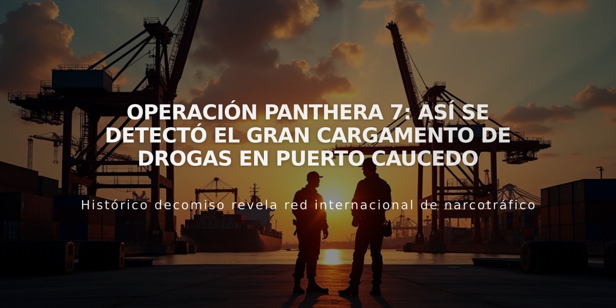 Operación Panthera 7: Así se detectó el gran cargamento de drogas en puerto Caucedo