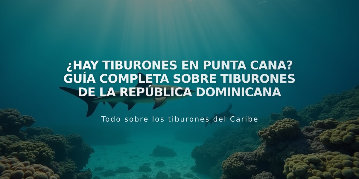 ¿Hay tiburones en Punta Cana? Guía completa sobre tiburones de la República Dominicana