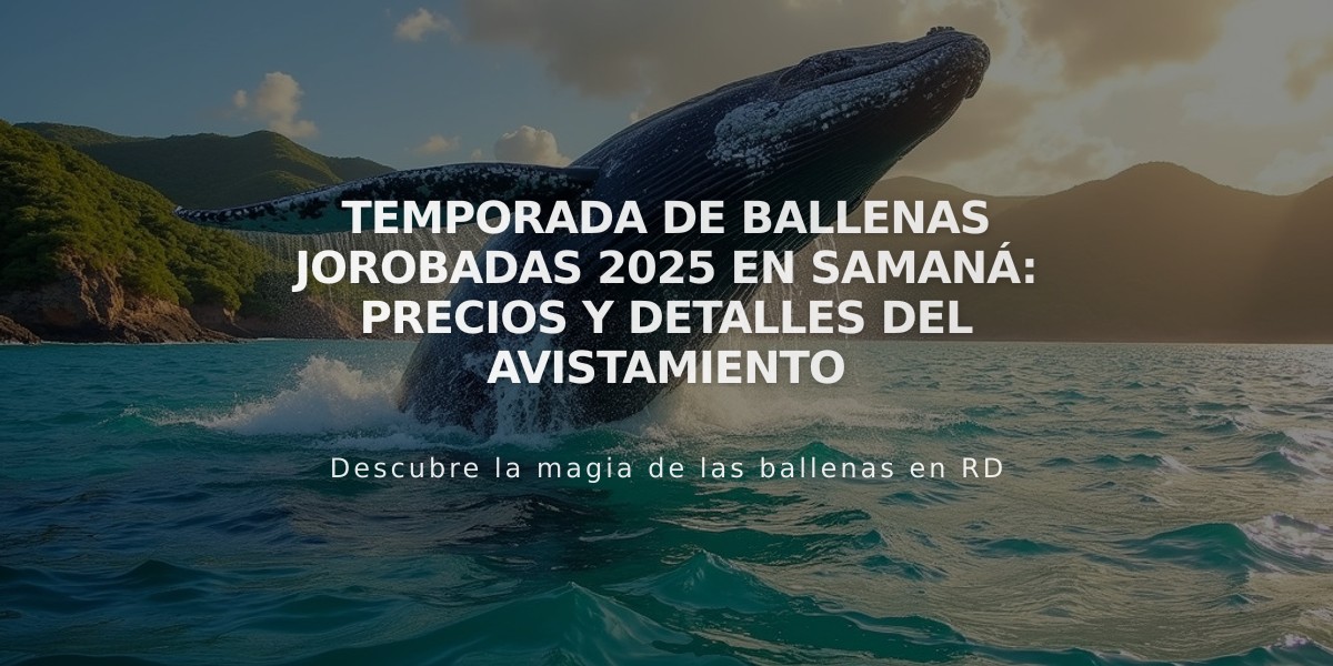 Temporada de ballenas jorobadas 2025 en Samaná: precios y detalles del avistamiento